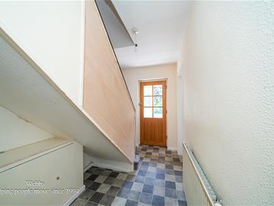 Picture 13